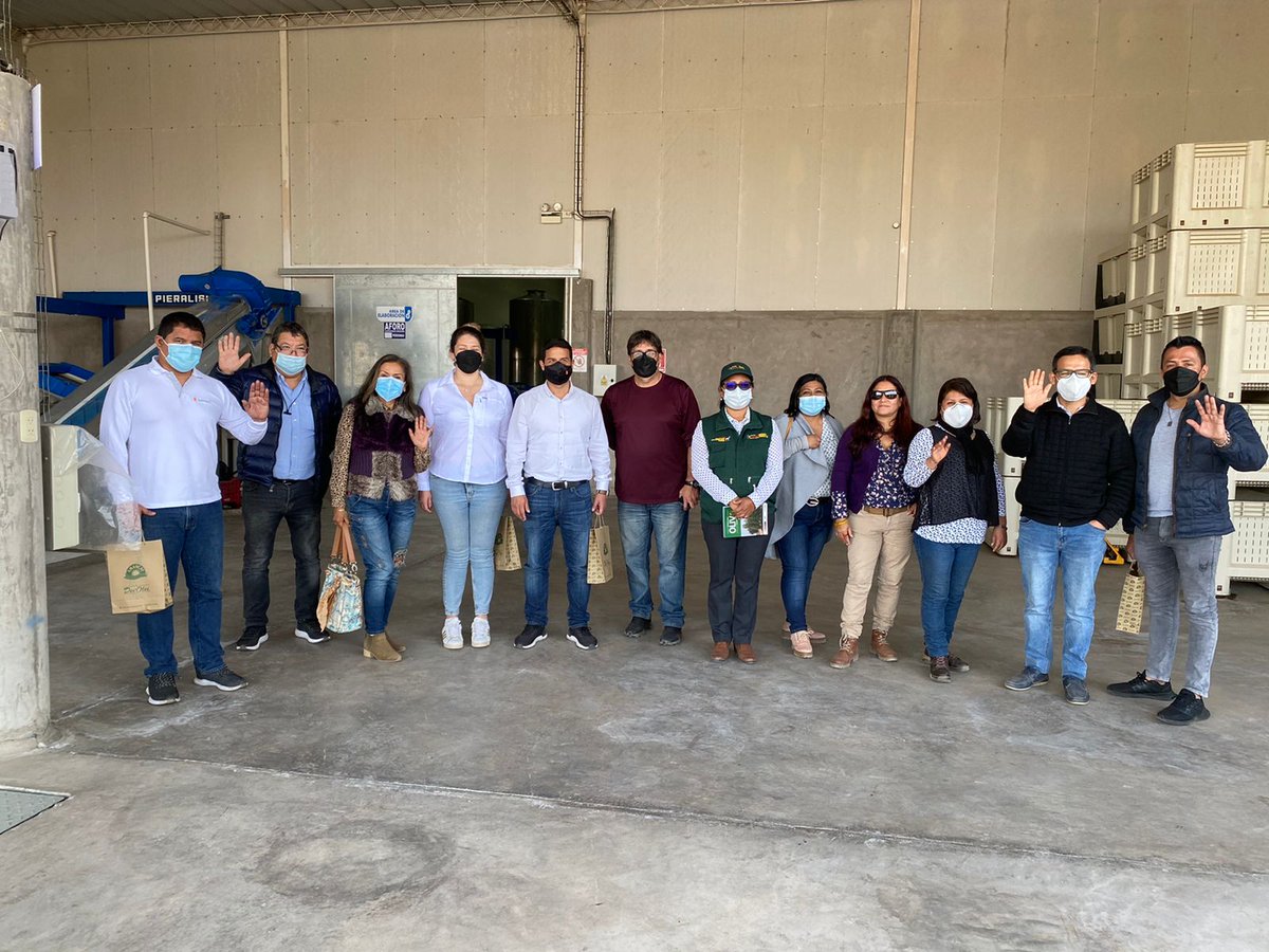 OlivoPro's tweet photo. El día Sábado 27 de Agosto. PROOLIVO participo de una Visita técnica a campos de olivo en La Yarada, invitados por la Dirección Regional de Agricultura de Tacna, con la llegada de una Comisión de trabajo de INDECOPI-Lima. Se visitaron la empresa DEINAL y fundo El Molino. https://t.co/IrbBLlB19w