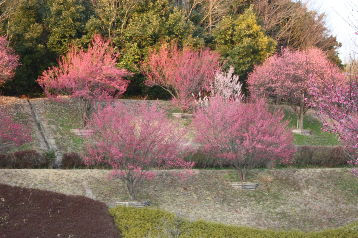 Sweetbox!❤️❤️❤️❤️💐💐💐💐💐💐 (@k_firstcat) on Twitter photo 