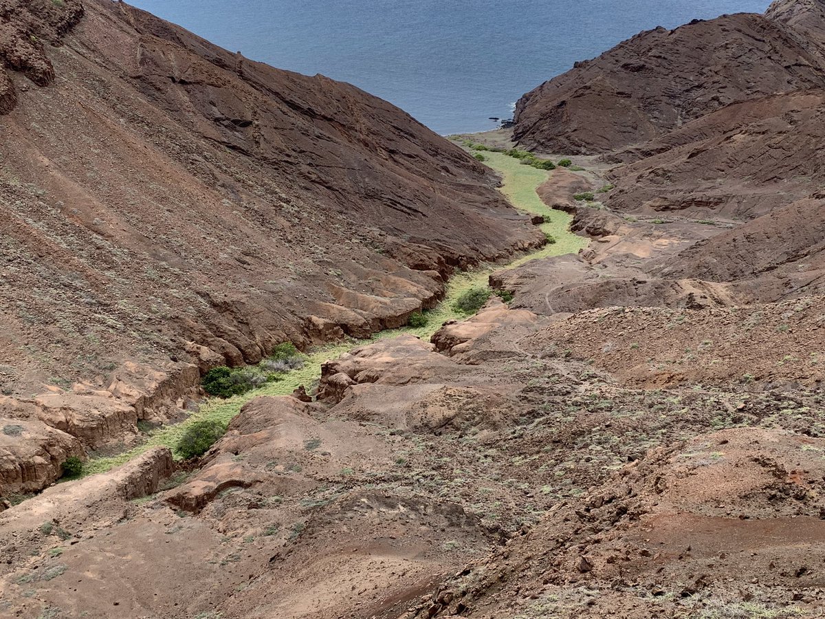 antoineloucha62's tweet photo. Today on Saint Helena with @Aduham01 and @joseph_julien we went again to Prosperous Bay, amazing site with nice fragile fossils of frigatebirds, and many others including rare landbirds #sainthelena #sainthelenaisland #fossilbirds #islandbirds https://t.co/VWI7x3eQR8