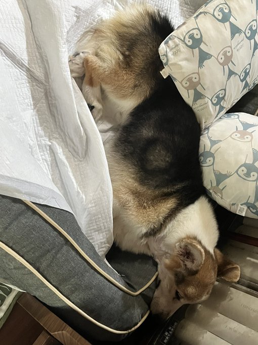 おはようございます。 