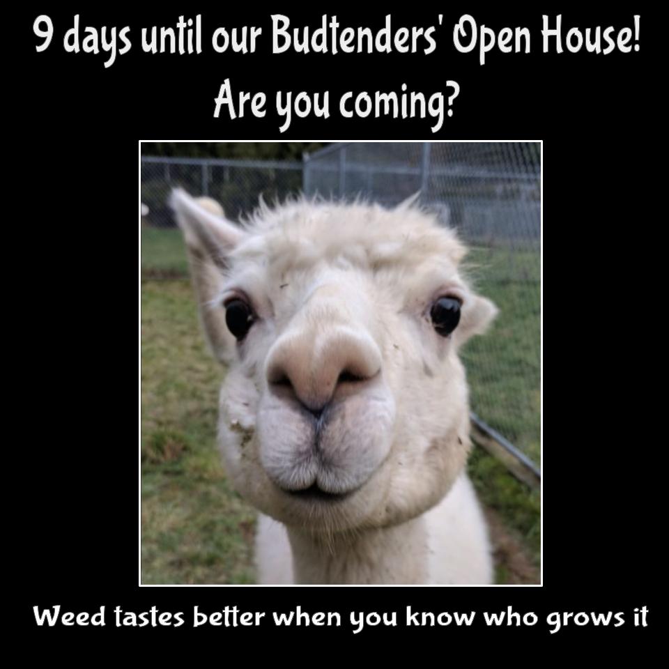 Seadog Farm tweet media
