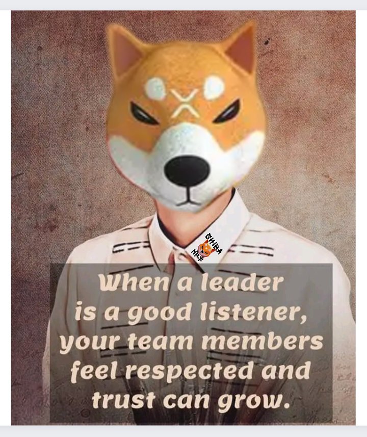 Mika 🐟 tweet media