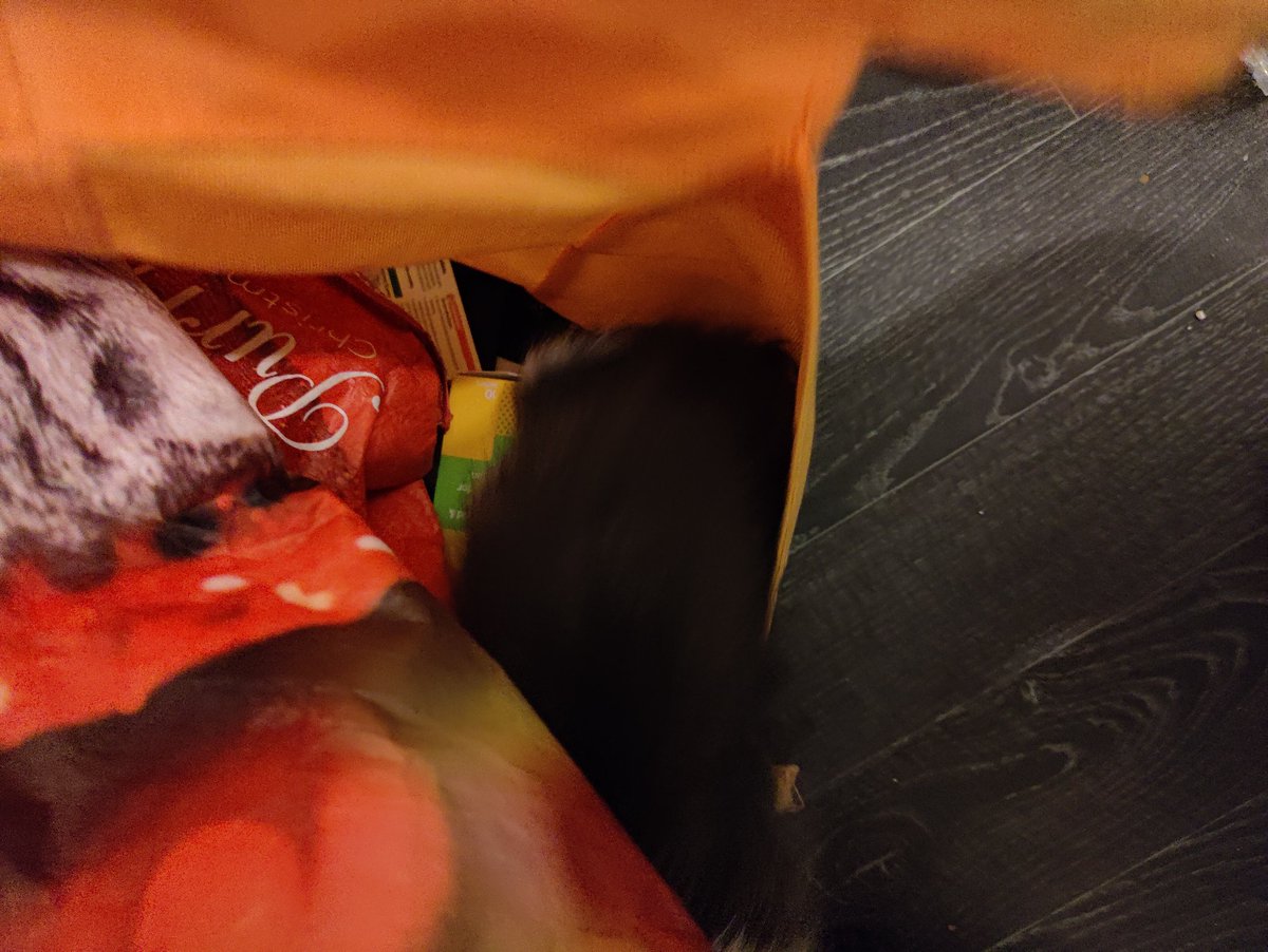 LinuxLady's tweet photo. Turns out that I do need to let the cat out of the bag.... https://t.co/NMZ8qvJIDr