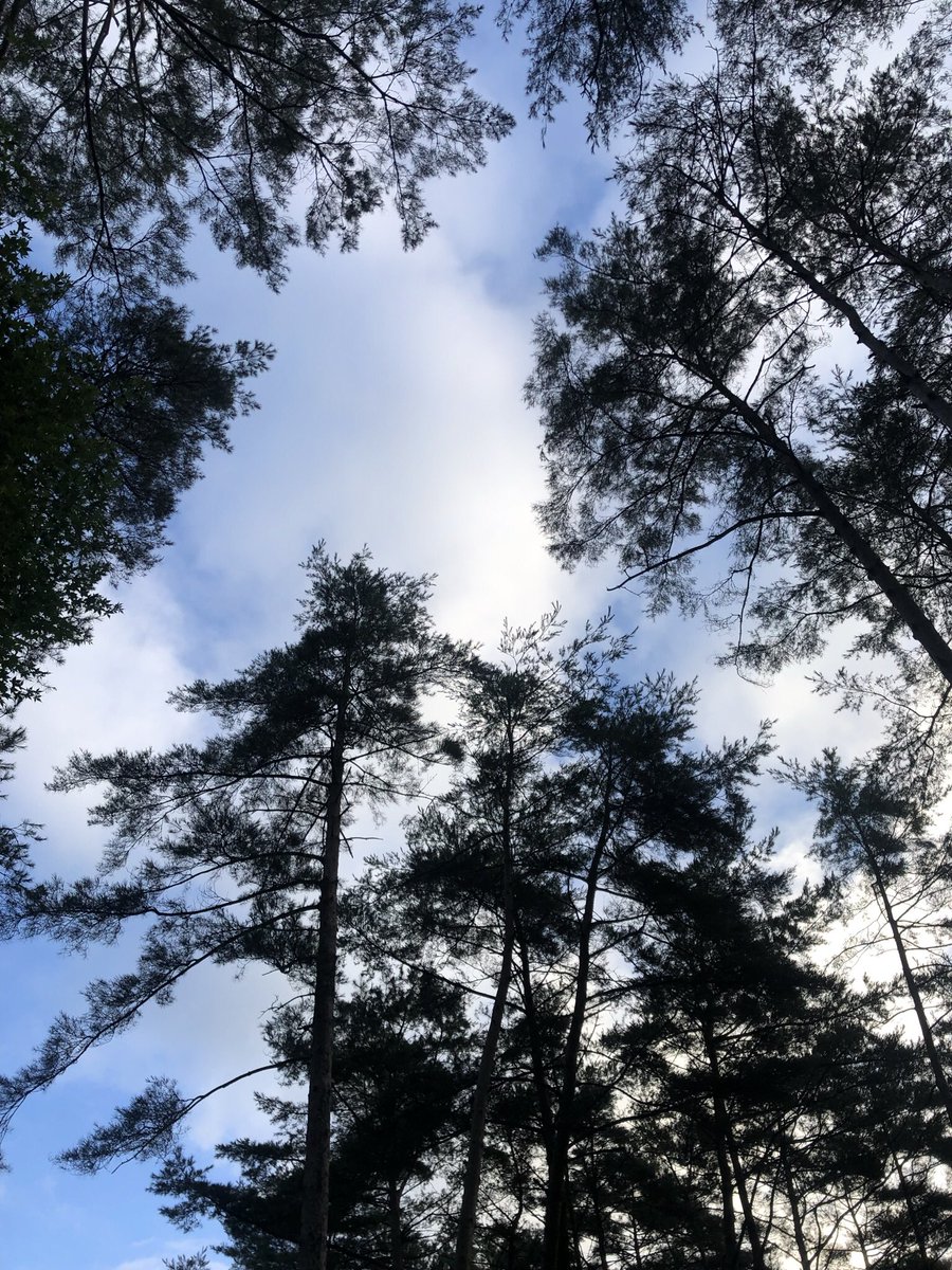 SHIKI41376028's tweet photo. おはよう、、、

1日の始まりの言葉、、、

誰かに伝える初めの言葉、、、

毎日を楽しめる最高の言葉にしよう。

#ミナミ　#ホスト　#春夏秋冬　#シキ　#SHIKI #難波　#allgroup #大阪 #お酒 #イケメン #ハマりおじさん ＃ぽい言葉 #おはよう https://t.co/oGBzBXrPFj