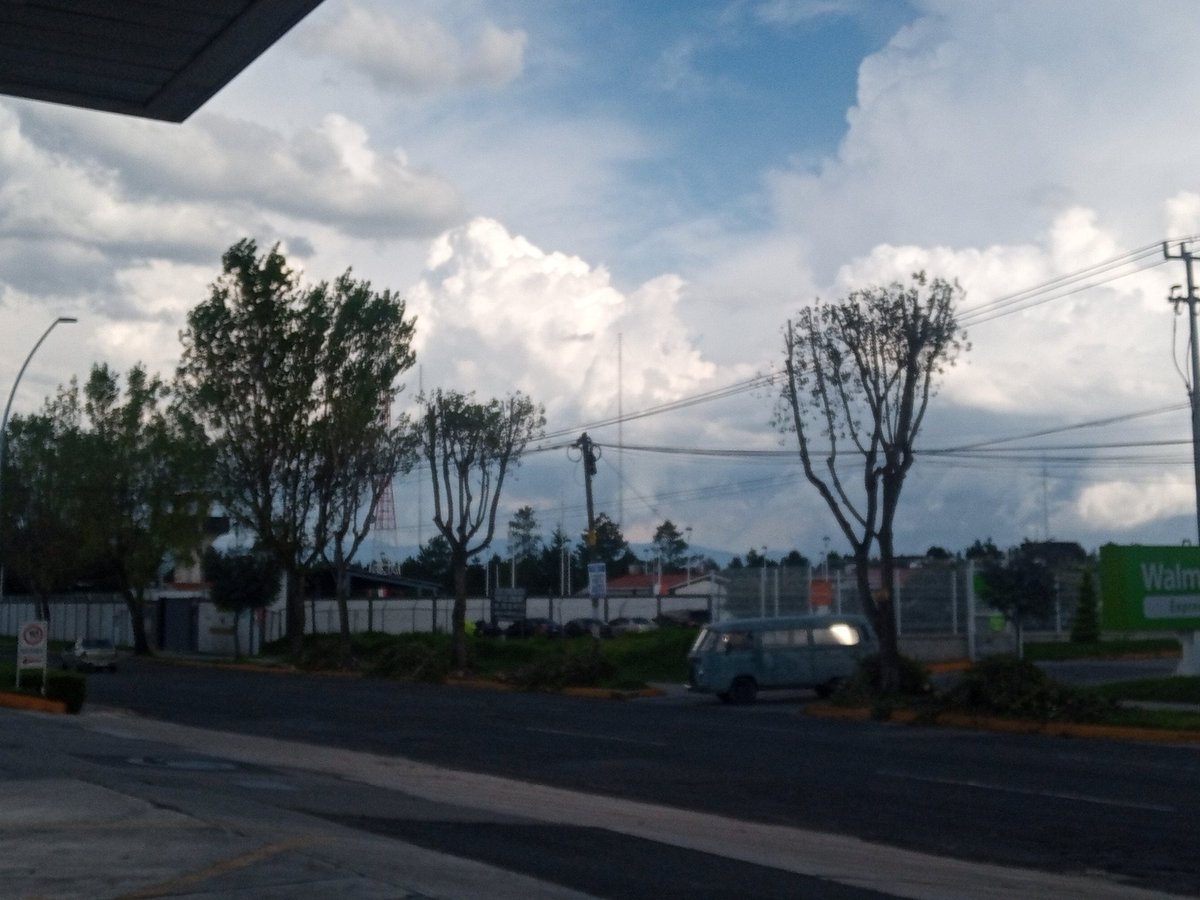 NorAnthony's tweet photo. Oye @FerFlores_Emp @MetepecGobierno  quien es el encargado y responsable de estás terribles podas al arbolado público, los árboles se someten a un gran estrés con pocas posibilidades de recuperarse. Creo que el personal requiere de una debida capacitación en este tema https://t.co/W74QPbRTL7