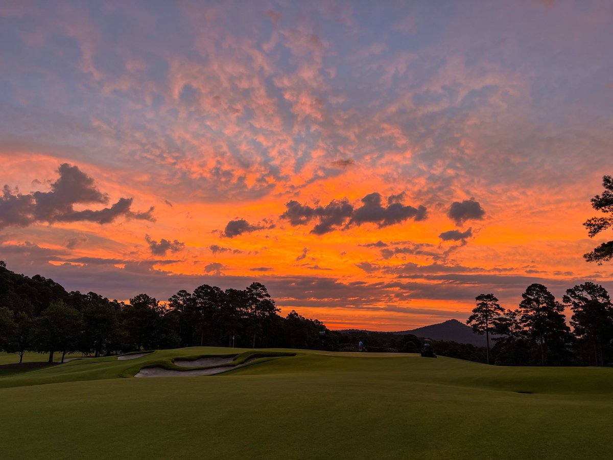 Koji Mitchell tweet media