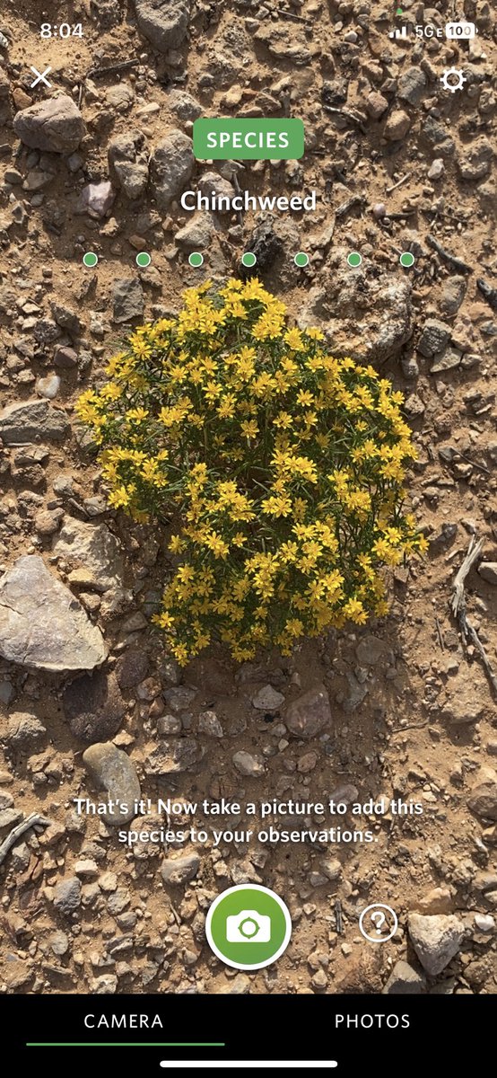 Ron Mader 🌎 tweet media