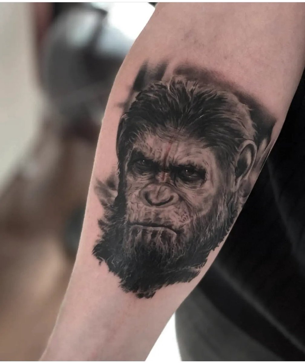 Jay Hutton tweet media