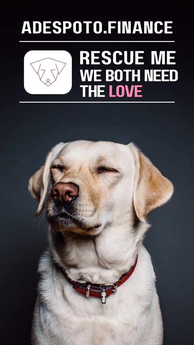 adespototoken's tweet photo. #AdoptDontShop #ADESPOTO https://t.co/noUunJuzRg