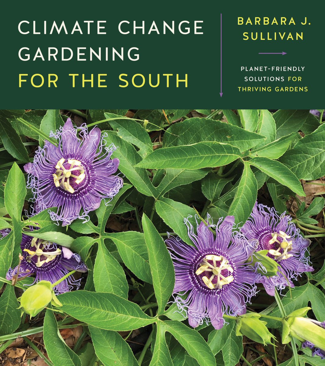 UNC_Press's tweet photo. Save the date: 9/28 from 12-1pm @NCBotGarden hosts a Hybrid Lunchbox Talk w/Barbara J. Sullivan discussing her new book CLIMATE CHANGE GARDENING FOR THE SOUTH: Planet-Friendly Solutions for Thriving Gardens 🌺🌿
RSVP now (free, or donate!): https://t.co/ZbMD5SbqoO #ABCSignup https://t.co/40am0jJlgm