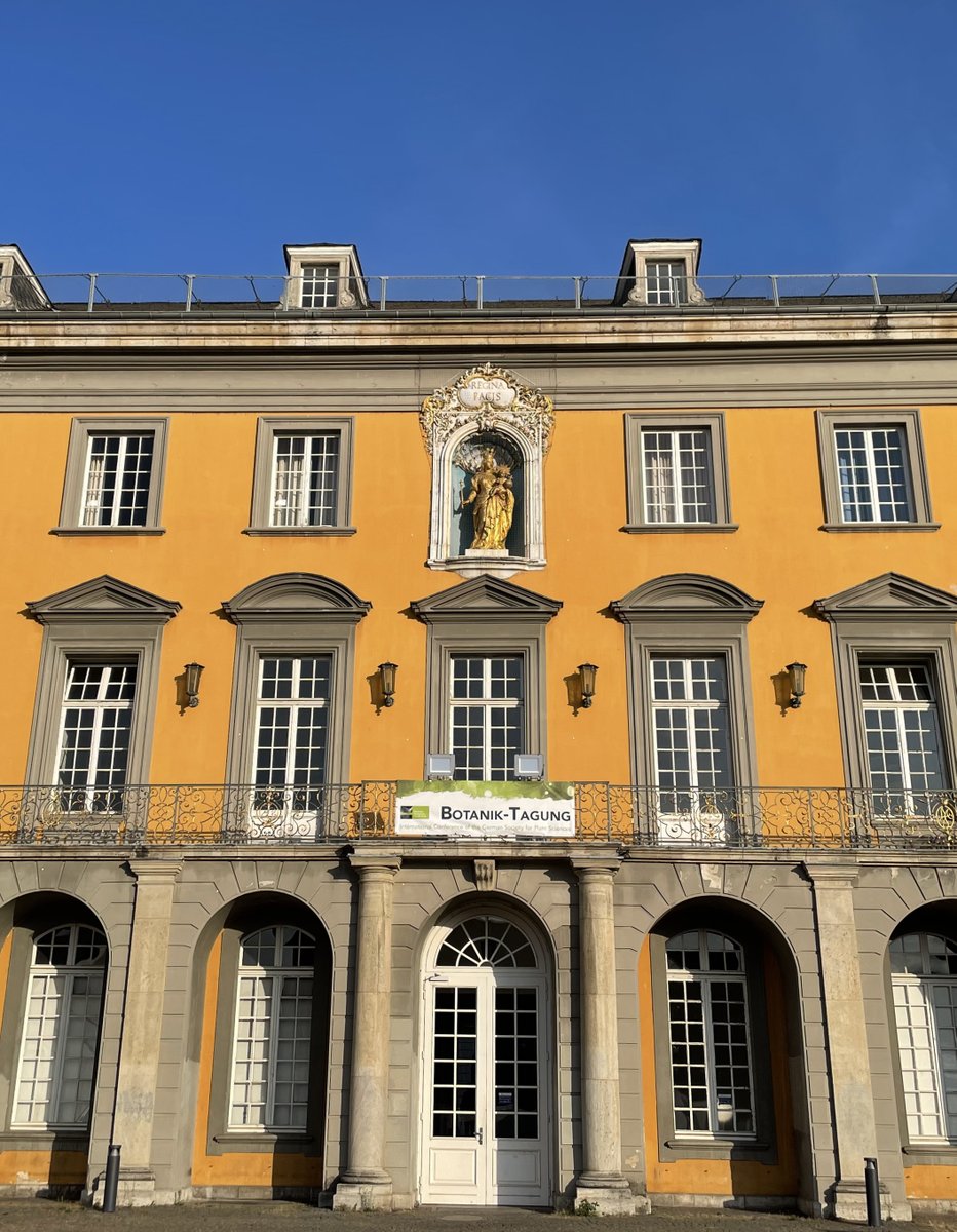 Back home from #BT2022DBG Thank you ⁦<a href="/RedoxUBonn/">Andreas Meyer</a> &amp; team for organising this nice meeting! We had a very fruitful time in Bonn <a href="/Fuerst_Jansen/">Janine Fürst-Jansen</a> <a href="/Sophie_de_Vries/">Sophie de Vries</a> @armin_dadras <a href="/AmraD05/">Amra Dhabalia Ashok</a>