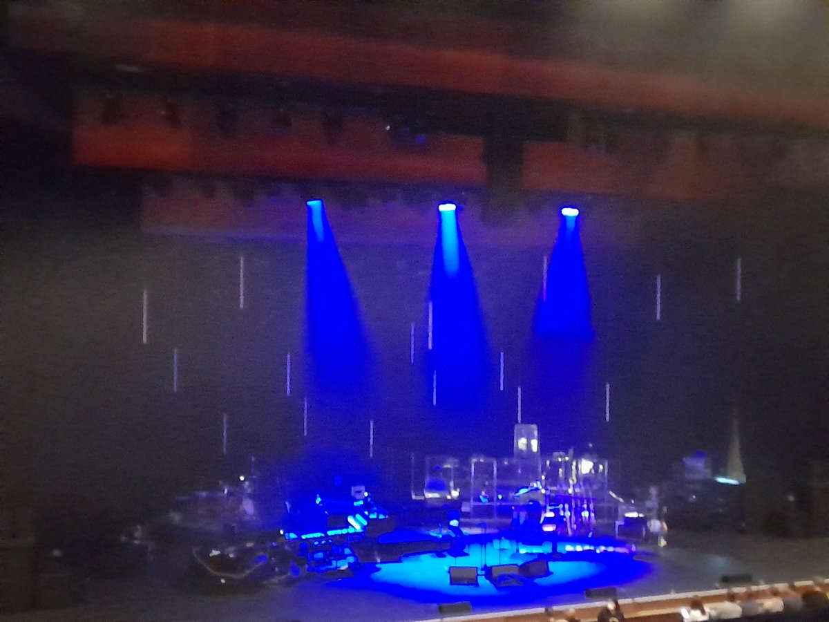 Dr Claire Warrior tweet media