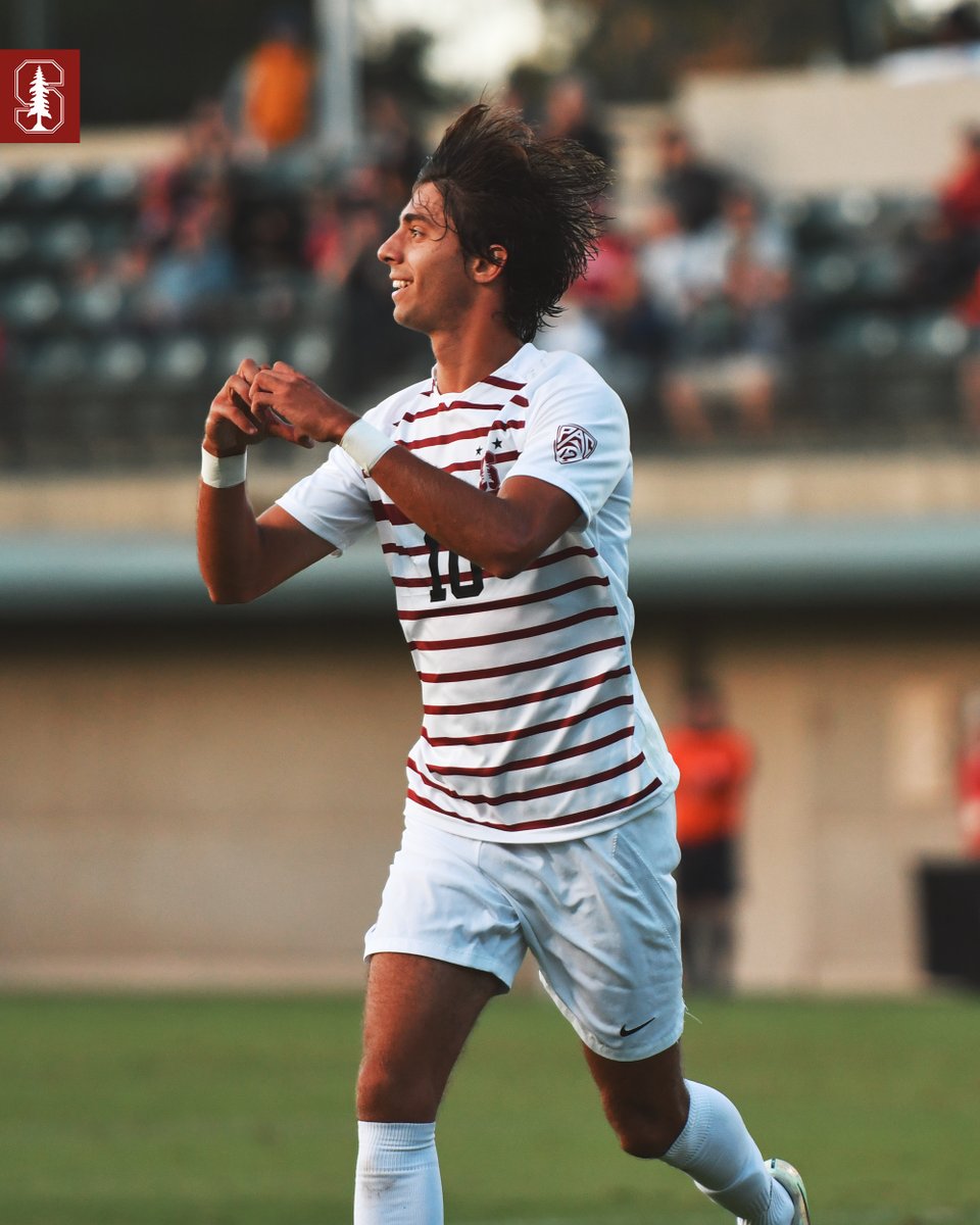 Stanford Cardinal 🌲🤓 tweet media