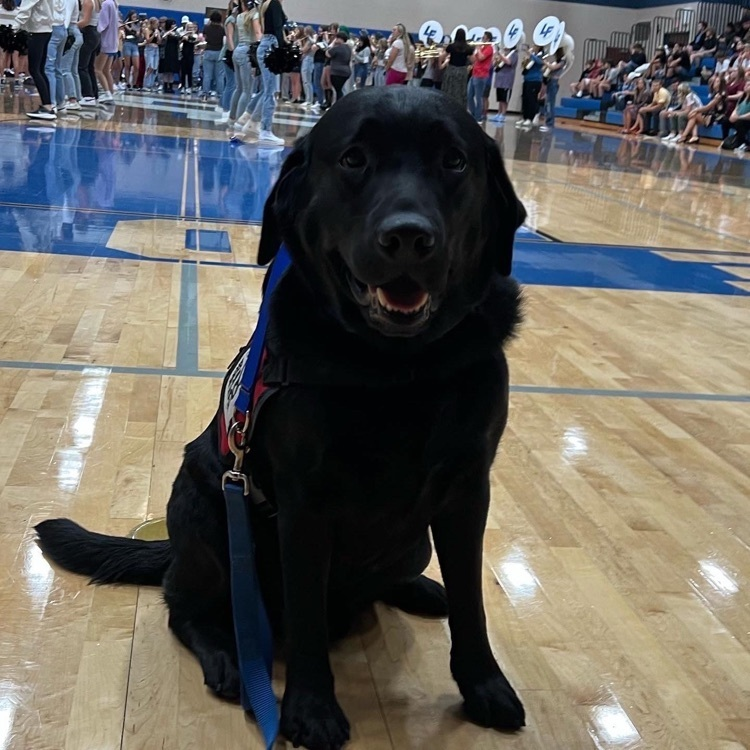 LFCSBlueDevils's tweet photo. 🐾Charlie🐾 is absolutely the best! Our high schoolers describe Charlie as loving, helpful, handsome, and up-lifting! LF middle schoolers agree!
LF wishes all a wonderful long weekend and extra playtime for Charlie!
#LFLeads #LFHS #LFMS #THIS #WSES https://t.co/FoFQtbwgmd