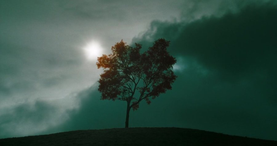 nicksaysboo's tweet photo. I will never get over how absolutely breathtaking the cinematography in The Ring is. 

The blue and green tones, the understanding of framing...combine that with Hans Zimmer's score...ugh. 

So good. https://t.co/32GjXl25cQ