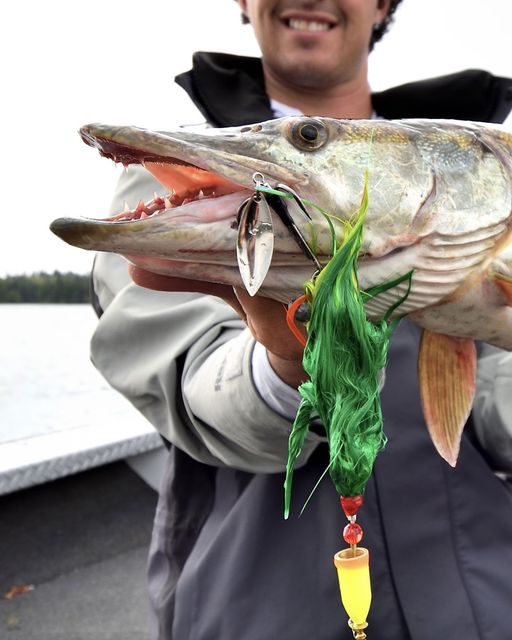teamfishtv's tweet image. Rapala's friends @vmchooks have a new series of bladed 9650 1X treble hooks to customize all of your favourite Pike, Musky, and big fish lures. Hit the 🔗 to see them all: fal.cn/3rvsN
#rapala #vmchooks #fishtv