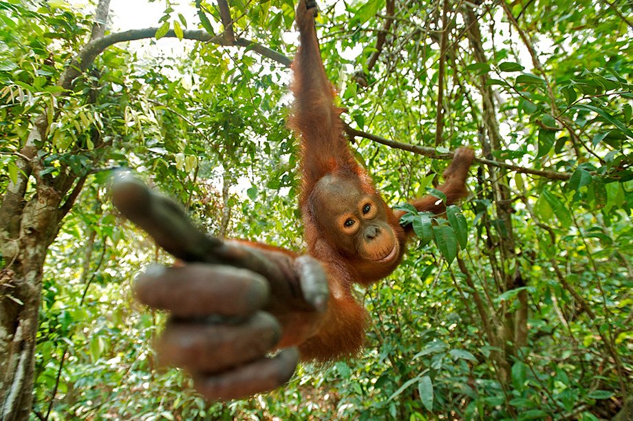 DailyMonkeyApe's tweet photo. you https://t.co/Go62dF3SMO
