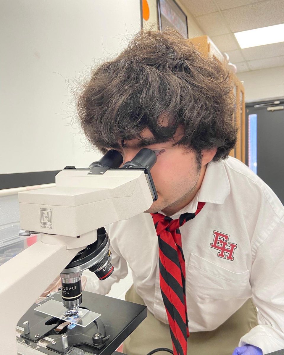 Ezell-Harding tweet media