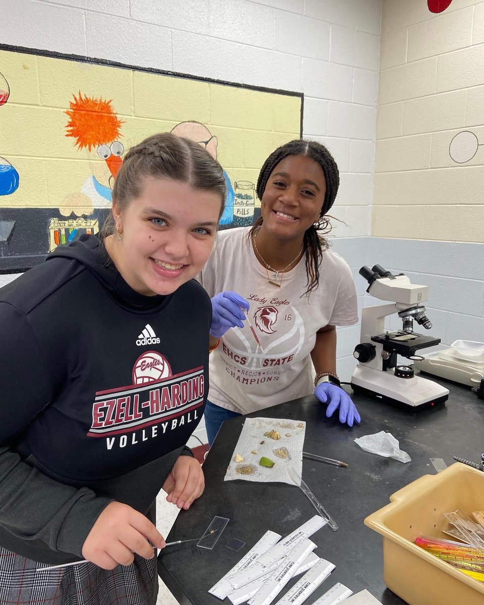 Ezell-Harding tweet media