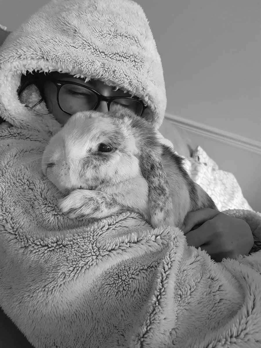 HarppsKaur's tweet photo. I miss you my baby 💔😔 https://t.co/wxRmXU3WGy