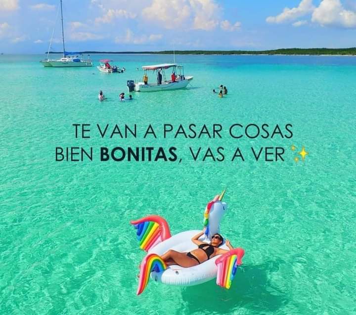 Ojalá la estoy necesitando 😪