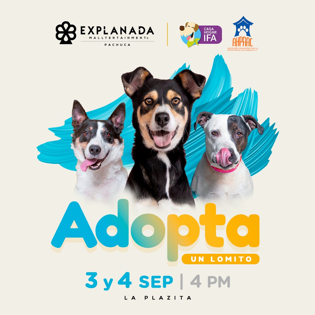 ExplanadaPAC's tweet photo. ¡Completa tu familia con un compañero fiel!
Ven y adopta un amigo de cuatro patas en #ExplanadaPachuca. 🐶💕
Tu próximo lomito te estará esperando en La Plazita a partir de las 4 PM.
#CasaHogarIFA #AsociaciónHidalguenseparalaProteccióndelosAnimalesAC https://t.co/fRcrPo4T4o