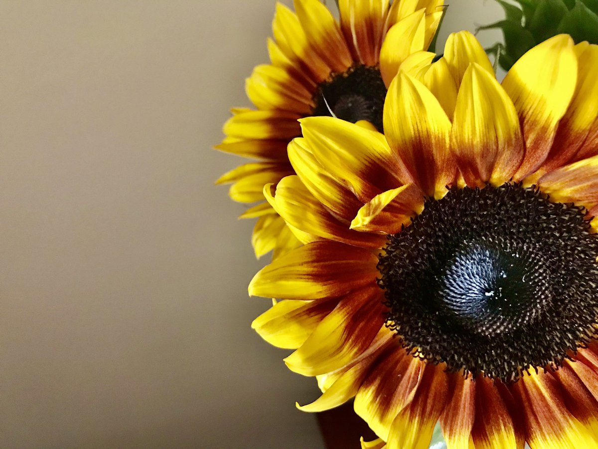 Happy September! Timeline cleanse.