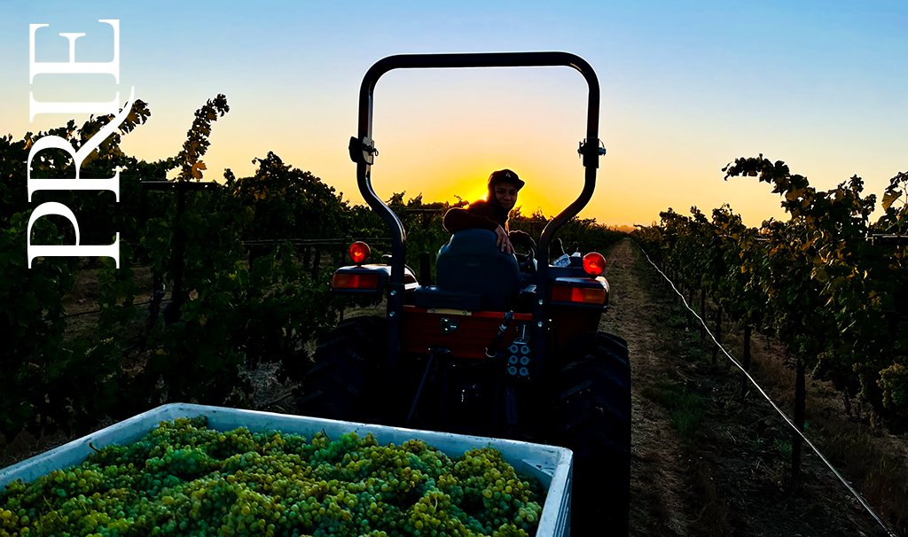 Priewinery's tweet photo. Harvest Evening music and wine - https://t.co/5zNR7UYt9s. Celebrate harvest with music Sep 10th, 6-9p https://t.co/mlrE1yXAyX