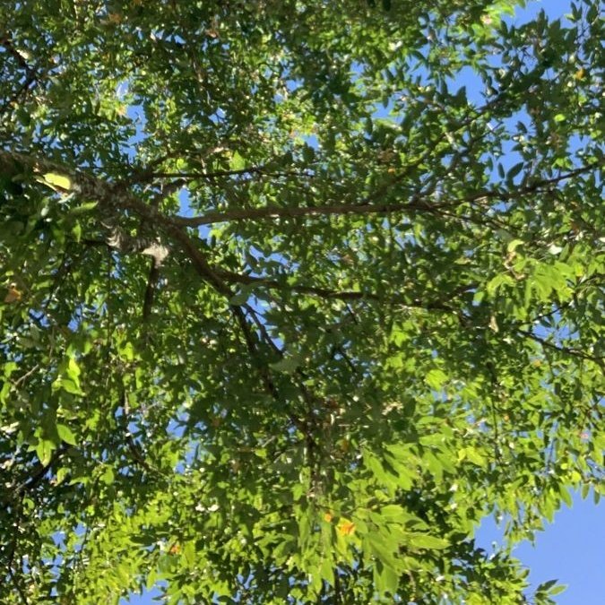 cigarrtsgirl's tweet photo. ͏ ͏ ͏ ͏ ͏ ͏ ͏ ͏ ͏ ͏ ͏ ͏ ͏ ͏ ͏ ͏ ͏͏ ͏ ͏ ͏ ͏
🔮 𝐒hapes fem plus size pra aumentar as curvas no rpbr — 𝗮 𝘁𝗵𝗿𝗲𝗮𝗱 https://t.co/tSKdsy5CmR