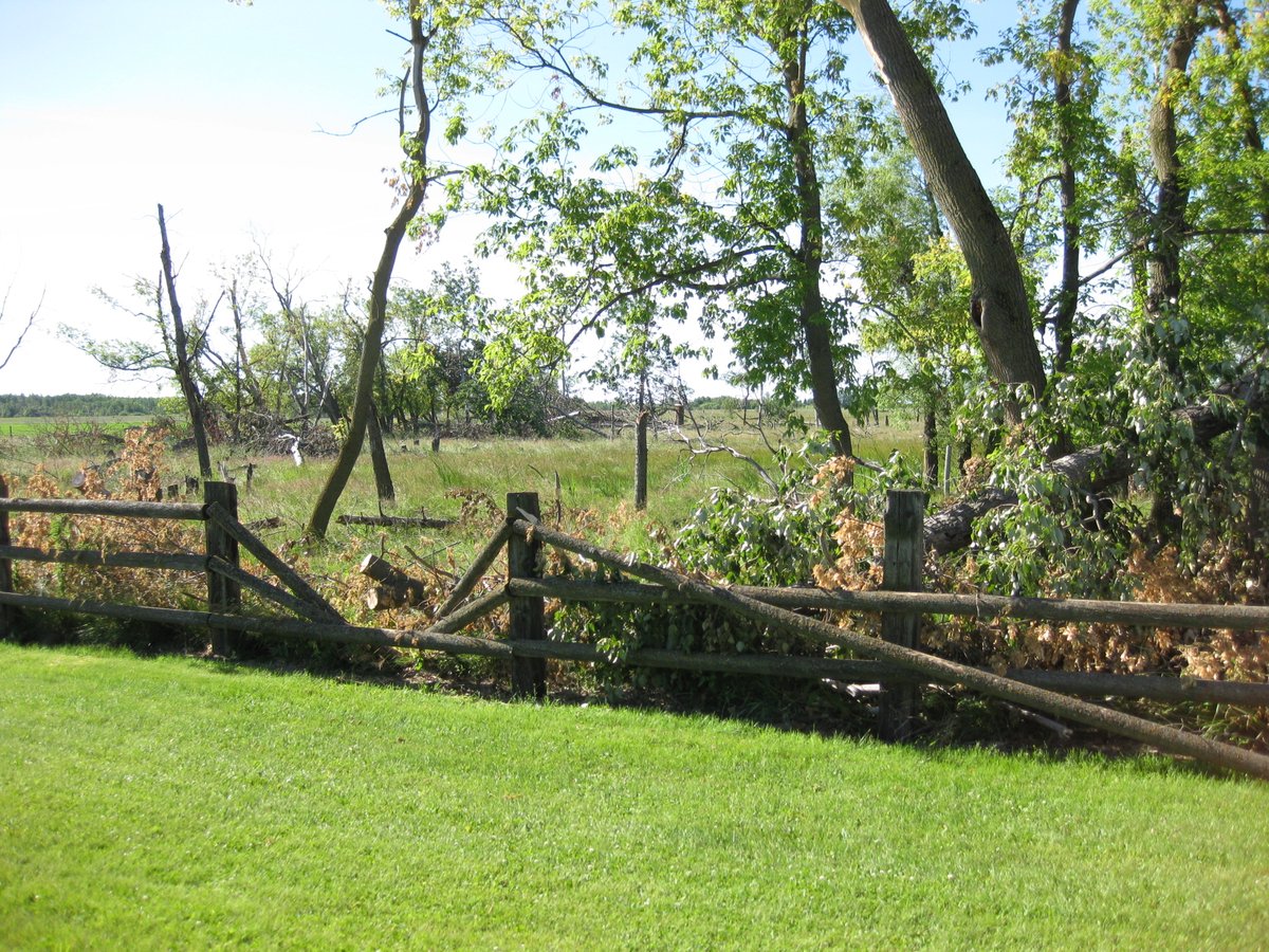 AUniqueTask's tweet image. @AUniqueTask not all impact related damages require an engineer, make your best observation and recommendations based on the situation you are seeing. #engineer #treeimpact #roofing #inspectionservices #auniquetask