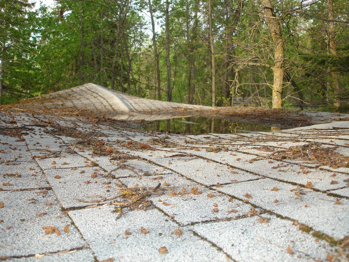 AUniqueTask's tweet image. @AUniqueTask not all impact related damages require an engineer, make your best observation and recommendations based on the situation you are seeing. #engineer #treeimpact #roofing #inspectionservices #auniquetask