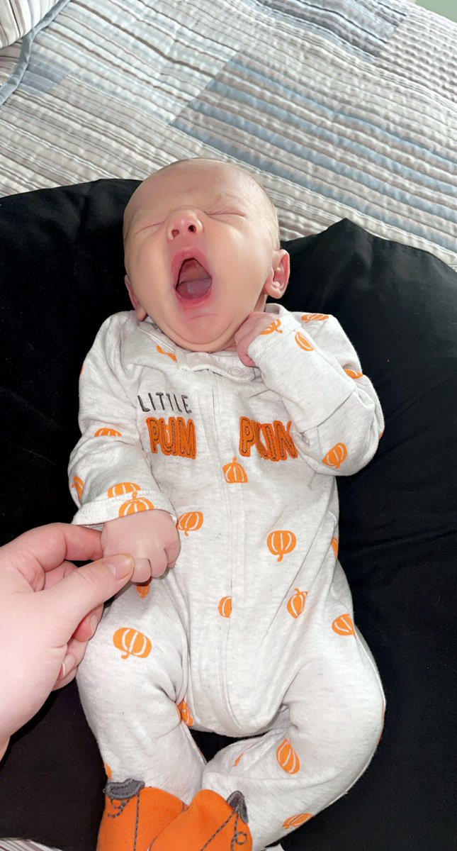 Korian_Lea's tweet photo. my baby really turns 1 this month… where did the time go??🥹 https://t.co/my0pm0Yaau