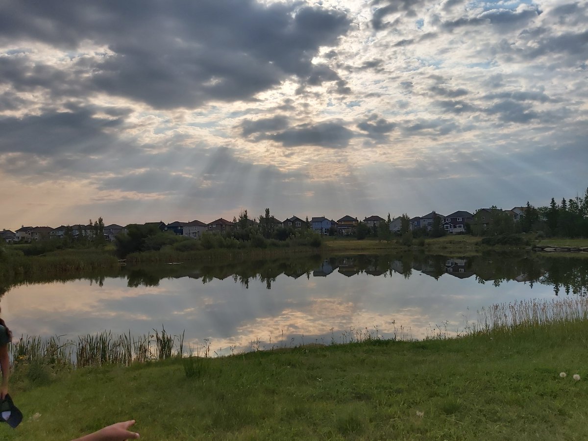 MrHuntersClass's tweet image. It was a beautiful morning to take a walk with students down to the storm pond. We were taking an inventory of the producers and consumers we could find.