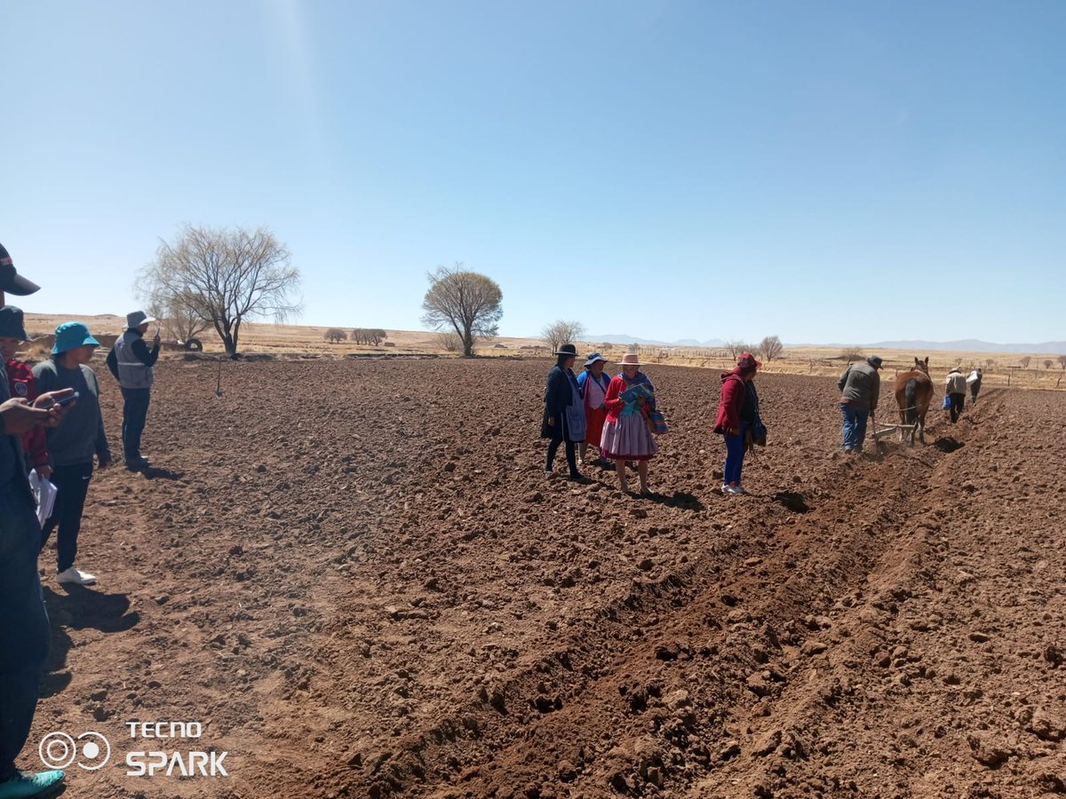 @INIAFBolivia - MDRyT tweet media