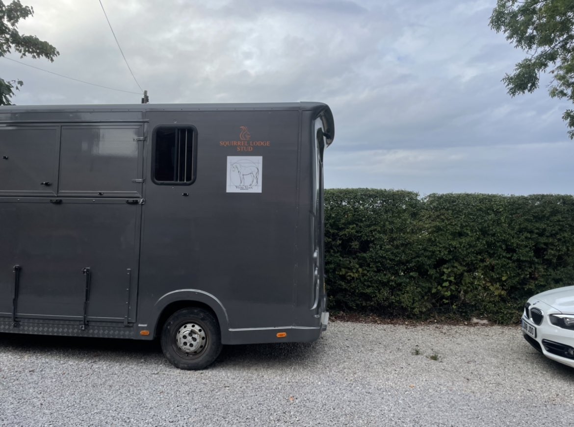 VitruvianB's tweet photo. Final sales prep touches ✨

👟 Daily Walking in our 20x60m School 

🫁 Lungeing 

👩🏻‍🎓 In-Hand Roadwork with our Elder Hunt Mares to mentor youngsters 

🧠 Establishing Ground Manners &amp; Confidence

✨ Conditioning with @TeamSPILLERS Horse Feeds

🪞Show Practice

🧴 Mane Pull/Trims https://t.co/B5R5tSB8CT