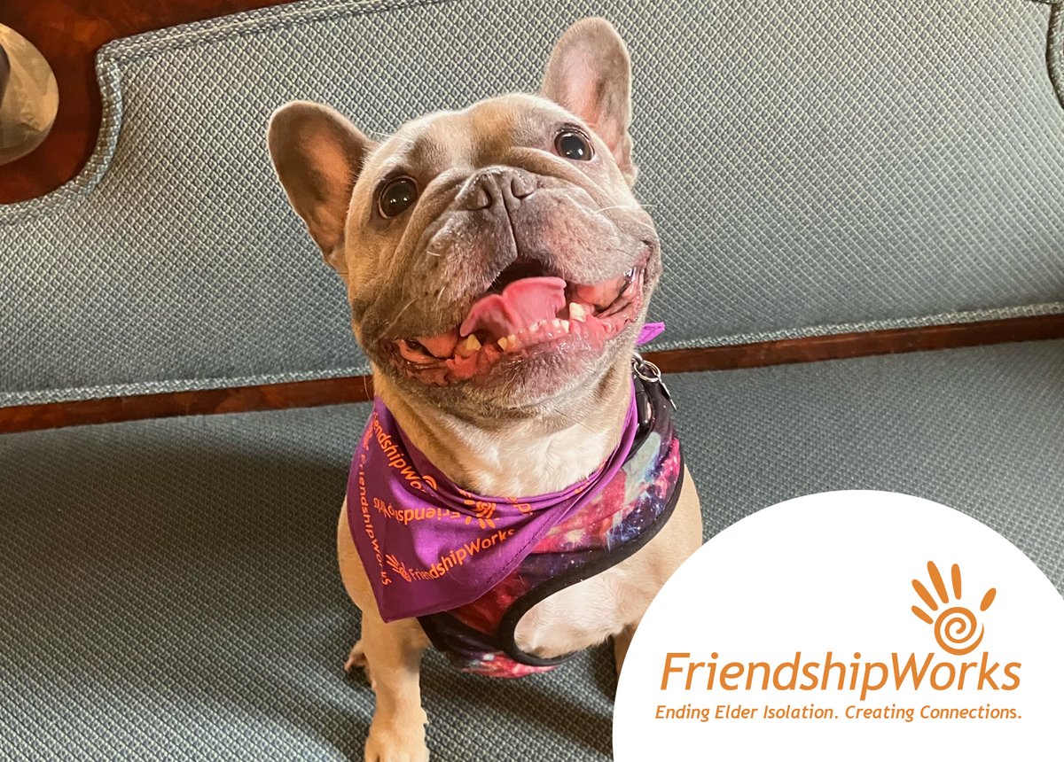 Congratulations to Nova who is the newest PetPals volunteer at FriendshipWorks, along with her owner Estee. Nova will bring joy and unconditional love to all the older adults she meets. Who could resist that smile! Stay tuned as we follow her adventures. #FriendshipWorks #PetPals