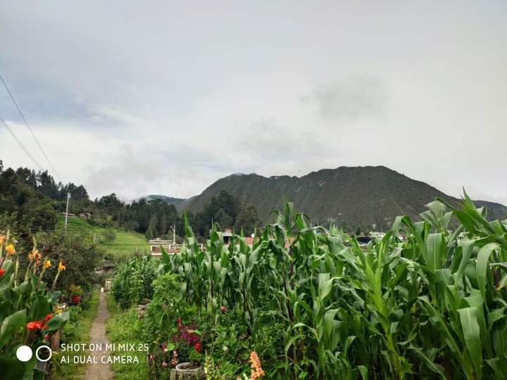EpAsfaltar's tweet image. ¡Contribuimos al desarrollo del #Azuay!
Culminamos el mejoramiento de la vía puente de Viola-centro de Jima.
Esta floreciente parroquia del cantón #Sígsig se caracteriza por su vocación agrícola, ganadera y por sus atractivos turísticos.