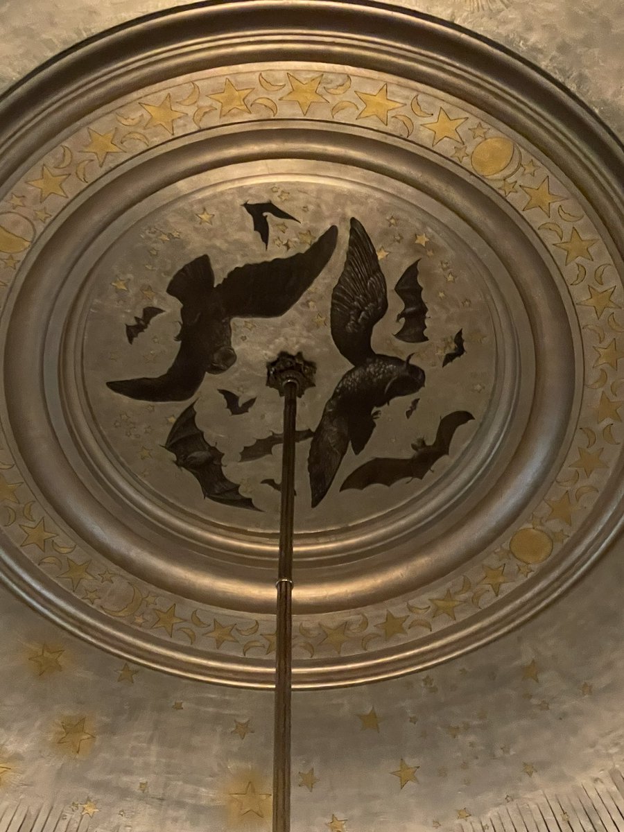That time when @theRNbiologist got a summer job painting ceilings….