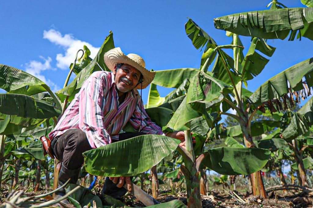 Relaciones Exteriores tweet media