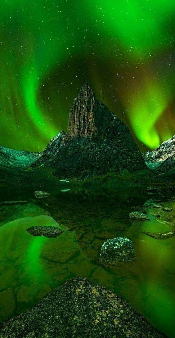 Daniella_C1804's tweet photo. Good night 💚💫 https://t.co/c4BUWOEgHA