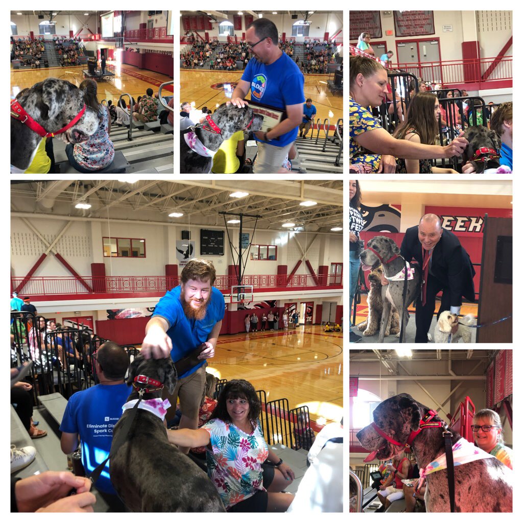 First day back…
 A picture is worth 1000 words, smiles that occur because of the Canine Inclusion Program at BEEKMANTOWN Central School District! Follow Laci Mae on Instagram. lacimaebcsd.  <a href="/bcsd_bezio/">Matthew S. Bezio</a> <a href="/EdTech_BCSD/">Beekmantown CSD</a> <a href="/MannixDan/">Daniel W Mannix</a> <a href="/StoutengerCHES/">Darcy L. Stoutenger</a> <a href="/DNelsonBMS/">Principal Nelson</a> <a href="/MBishopCHES/">𝕄𝕒𝕟𝕕𝕪 𝔹𝕚𝕤𝕙𝕠𝕡</a>