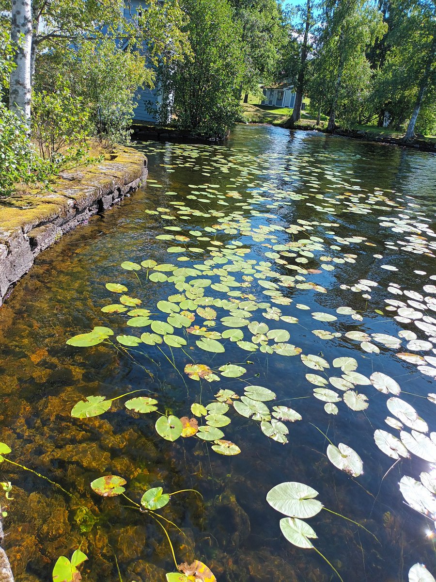kristallnaach's tweet photo. #Bootshaus..#Badehaus..🇸🇪#Badhus

#Baldersnäs Herrgård in #DalsLånged 
#Naturreservat auf einer #Halbinsel 
am 🌊 See #Laxsjön nahe #Bengsfors

#Schweden #Sverige #Sweden 
#Elchenländle22🇸🇪#VästraGötaland https://t.co/Bnn7eEnWV0