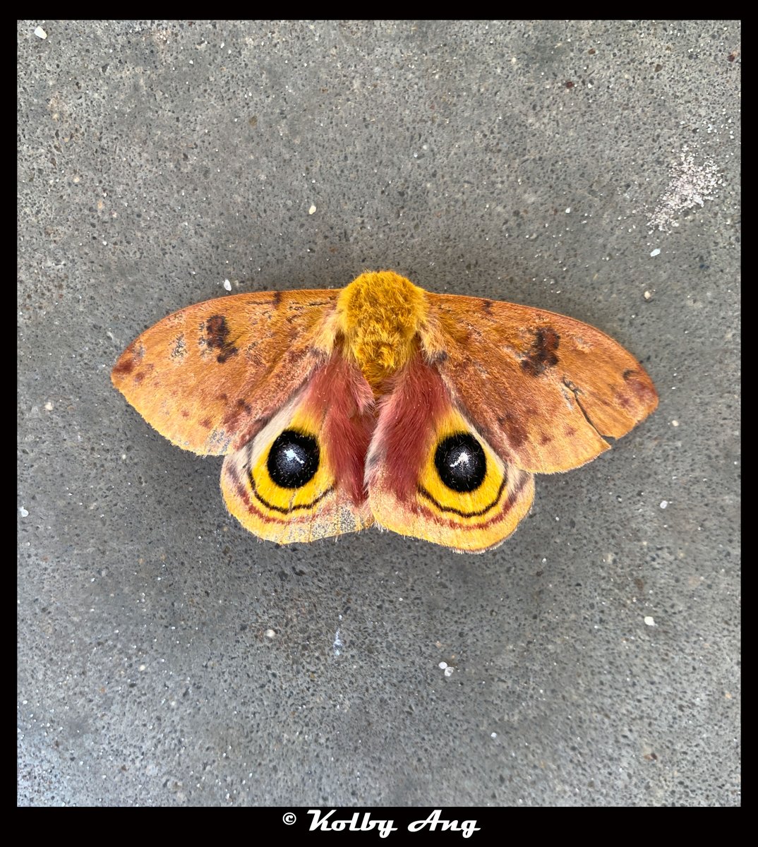 ClayCTE's tweet photo. Ms. Ahrens' Commercial Photography Students at @OakleafHigh are off to a great start!  Check out more of their photos here:  https://t.co/PKO7f4bJxq https://t.co/X9sNQldigE