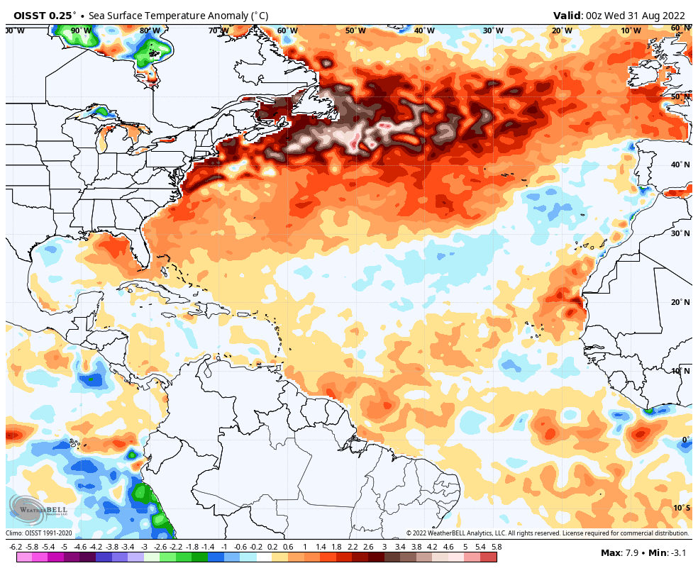 Jeff Berardelli (@weatherprof) on Twitter photo The N. Atlantic's marine heatwave is remarkable. Up to 14 degrees above normal!! Besides global warming, the weather pattern helping to produce this anomaly has had a part in disrupting the Atlantic hurricane season. Marine heat wave days have more than doubled since 1900 and 1/2 The N. Atlantic's marine heatwave is remarkable. Up to 14 degrees above normal!! Besides global warming, the weather pattern helping to produce this anomaly has had a part in disrupting the Atlantic hurricane season. Marine heat wave days have more than doubled since 1900 and 1/2