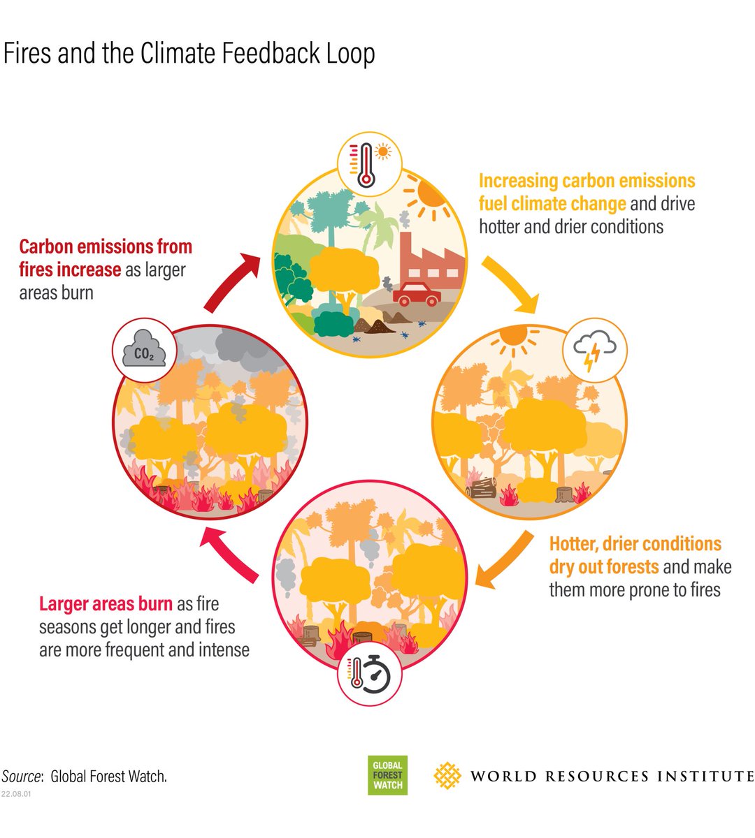 New data confirms: forest fires are getting worse.

They burned nearly twice as much tree cover today as they did 20 years ago. What's likely a major driver? Climate change.

Learn more from <a href="/GlobalForests/">Global Forest Watch</a>: ow.ly/6oFU50Kyjjz