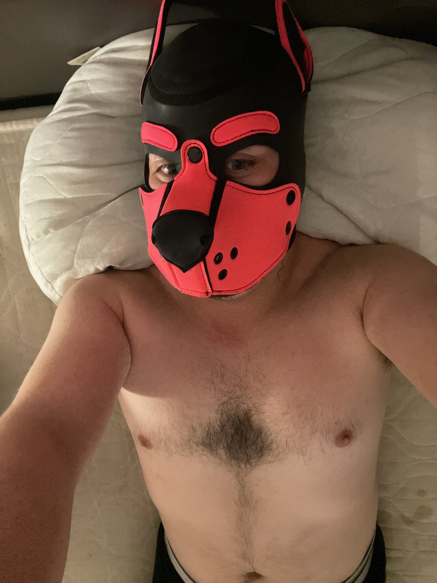 Berko euch gute Nacht wünscht