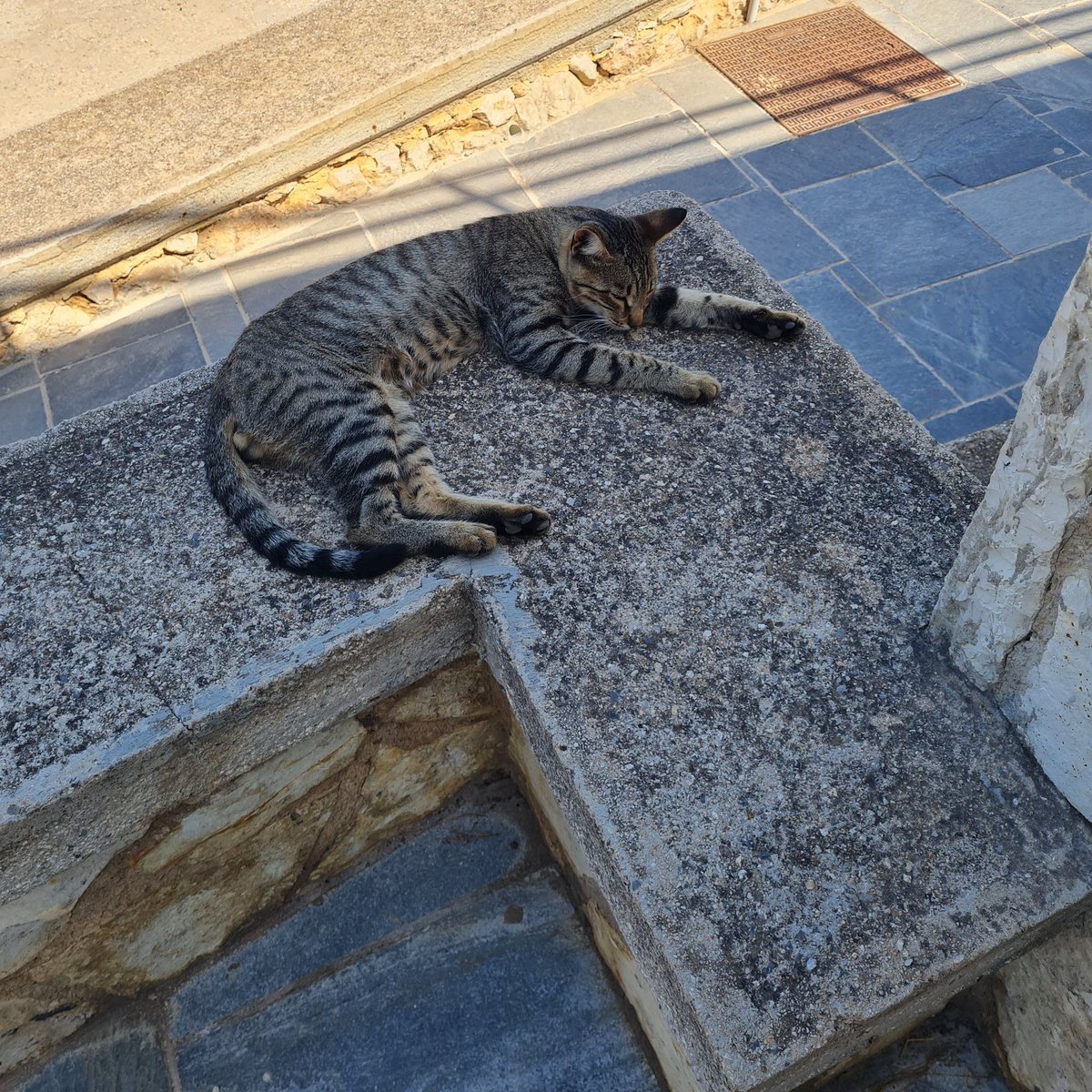 Agnese73186871's tweet photo. La Porta dei Leoni e... il re di Micene!
#archeologicalsite #Micene #UNESCOCulturalHeritage #archeology #archeologia #Greece 🇬🇷 https://t.co/BG4HM7Ed0u