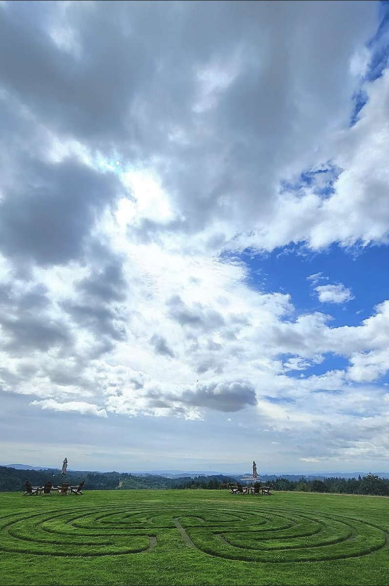 We can see the Holiday weekend from here!

Join us.

We'll save you a seat.

#Summer #SummerSipping #FairsingWines #FairsingVineyard

Photo credit: Jack Cranley