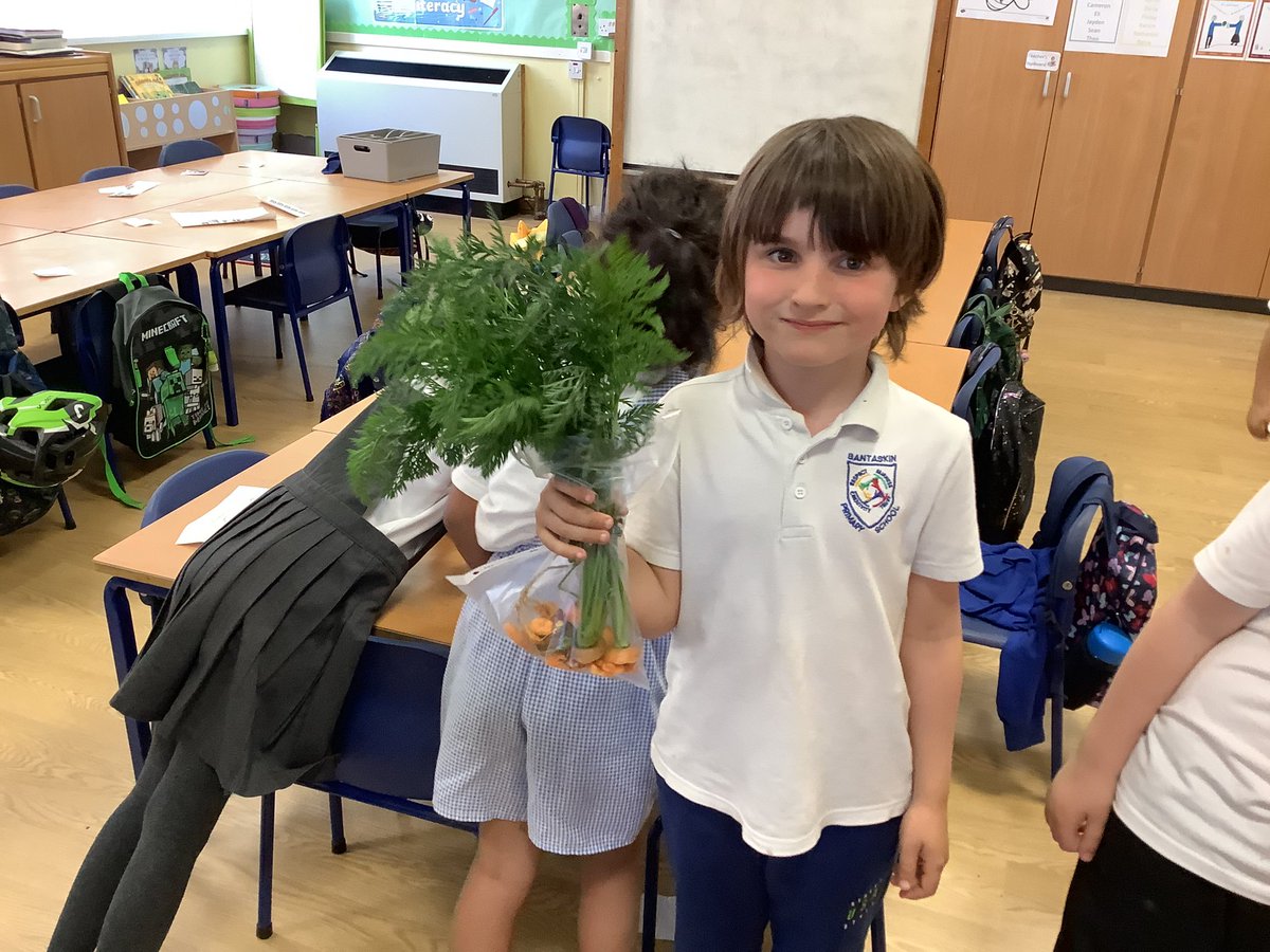 A big thank you to Mrs Mundie for helping us plant some peas today. We also harvested some carrots to try 🥕 I hope the lucky pets enjoyed the carrot tops too 😀 #bantGrowZone #bantNurture #bantLfS