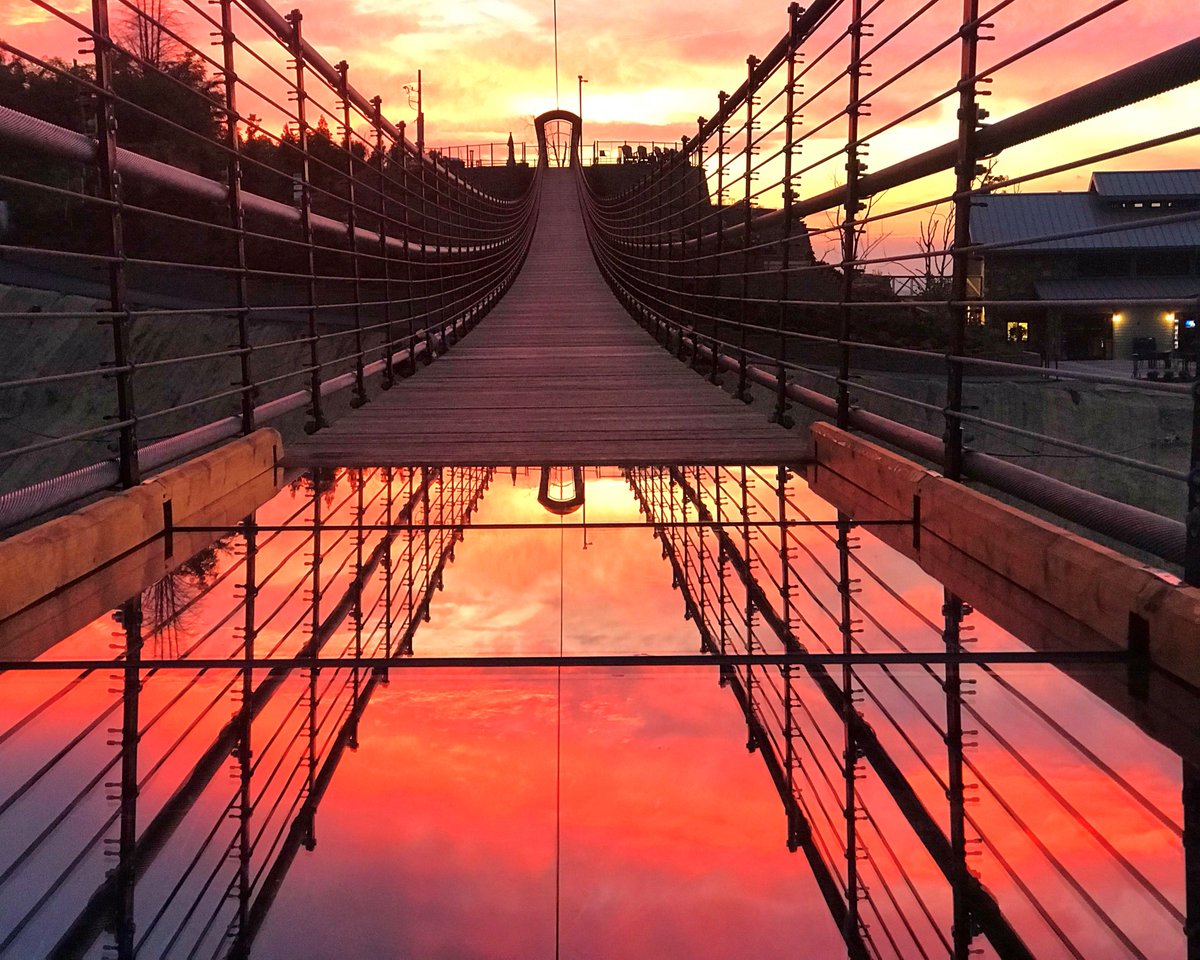 goteamgecko's tweet photo. #ThrowbackThursday to a gorgeous Smoky Mountain sunrise on the #GatlinburgSkyBridge at Gatlinburg SkyLift Park! It seems like just yesterday that we were designing this bridge! Also, this photo *might* give you a hint about what arrived in Michigan today... https://t.co/oaQi7t9N1J